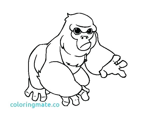 600x470 Gorilla Coloring Pictures Gorilla Coloring Pages Gorilla Coloring
