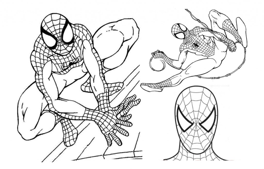 Free Printable Spiderman Coloring Pages For Kids 1024x657 Free Printable Spiderman Coloring Pages For Kids
