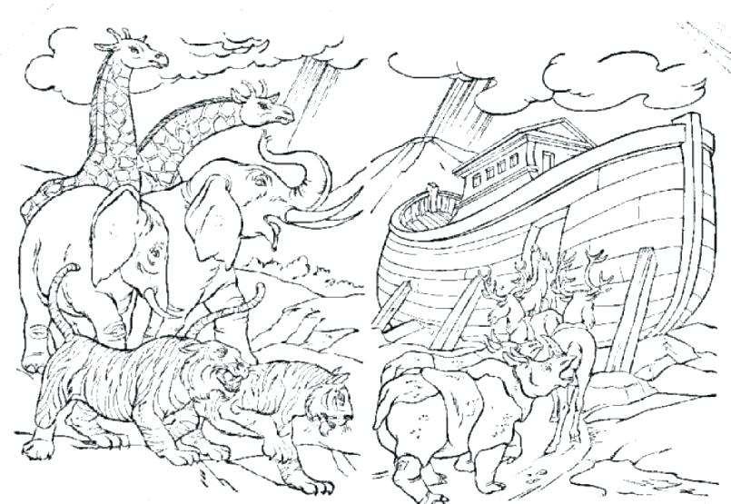 805x555 Noah Coloring Pages Ark Coloring Pages Ark Animal Coloring Pages