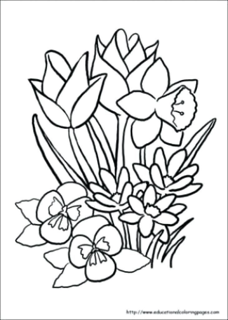Coloring Books For Seniors Coloring Pages For Older Adults As 731x1024 Coloring Books For Seniors Coloring Pages For Older Adults As