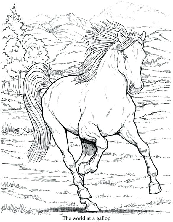 Printable Coloring Pages For Older Kids Teleks.site 584x750 Printable Coloring Pages For Older Kids Teleks.site