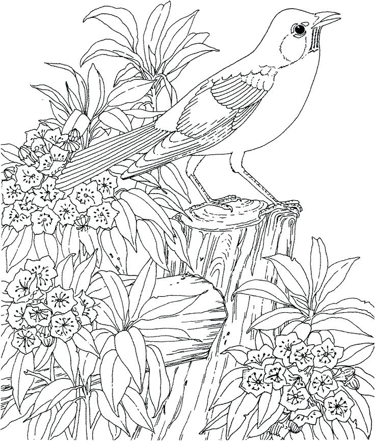 Coloring Pages For Older Girls Teenagers Difficult Best Ideas 736x866 Coloring Pages For Older Girls Teenagers Difficult Best Ideas