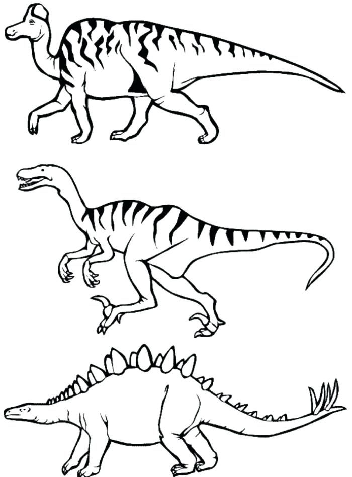 Geographic Coloring Pages Real Animal Latest Colori On Coloring 700x948 Geographic Coloring Pages Real Animal Latest Colori On Coloring