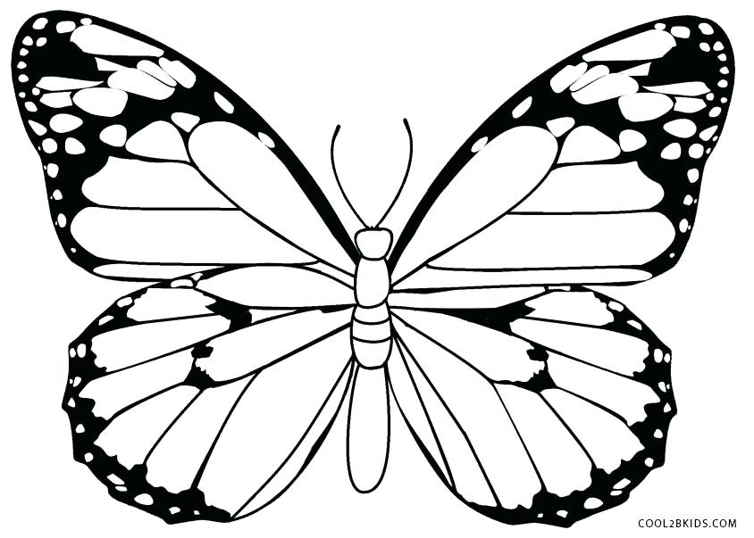 Coloring Pages Of Butterfly 844x603 Coloring Pages Of Butterfly