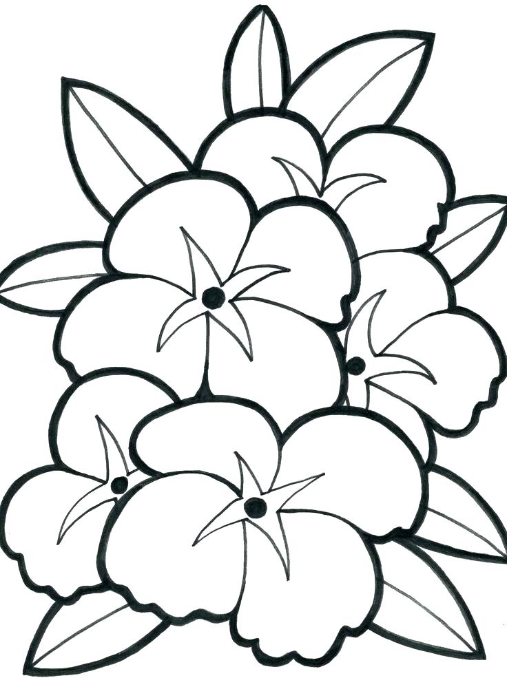 736x985 Coloring For Kids Online Coloring Pages For Teenagers Teen Color
