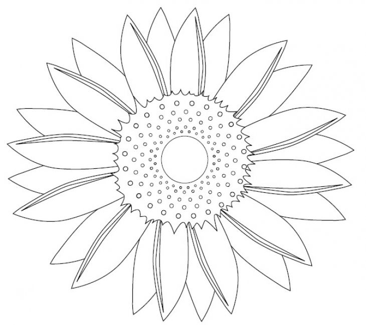 730x649 Beautiful Simple Sunflower Mandala Coloring Page For Young Kids
