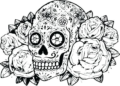 Hard Animal Coloring Pages Shippa.co 500x362 Hard Animal Coloring Pages Shippa.co