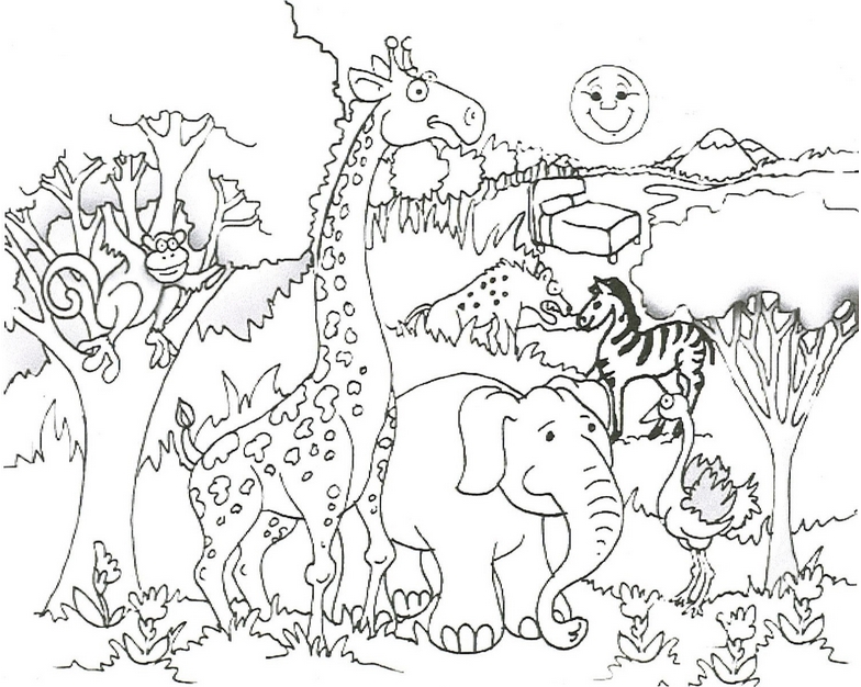 Baby Wild Animal Coloring Pages 784x626 Baby Wild Animal Coloring Pages