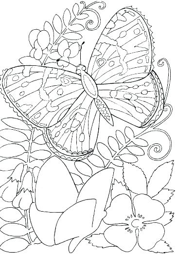Coloring Pages That Are Hard Really Hard Mandala Coloring Pages 366x525 Coloring Pages That Are Hard Really Hard Mandala Coloring Pages