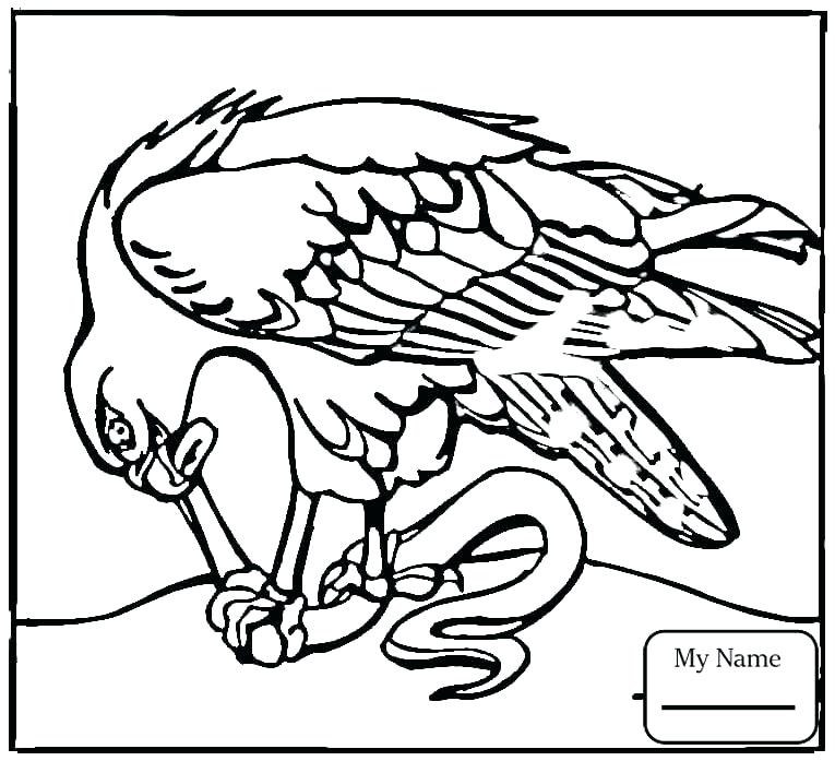 Hawk Coloring Pages Red Tailed Hawk Coloring Page Printable Tail 765x697 Hawk Coloring Pages Red Tailed Hawk Coloring Page Printable Tail