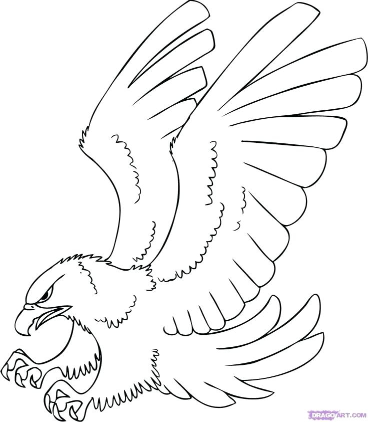 Hawk Coloring Hawk Coloring Pages Tony Hawk Coloring Pages Free 736x842 Hawk Coloring Hawk Coloring Pages Tony Hawk Coloring Pages Free
