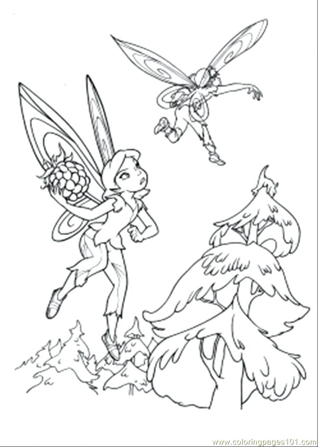 Rainbow Magic Fairy Coloring Coloring Pages Escaping From Hawk 650x913 Rainbow Magic Fairy Coloring Coloring Pages Escaping From Hawk