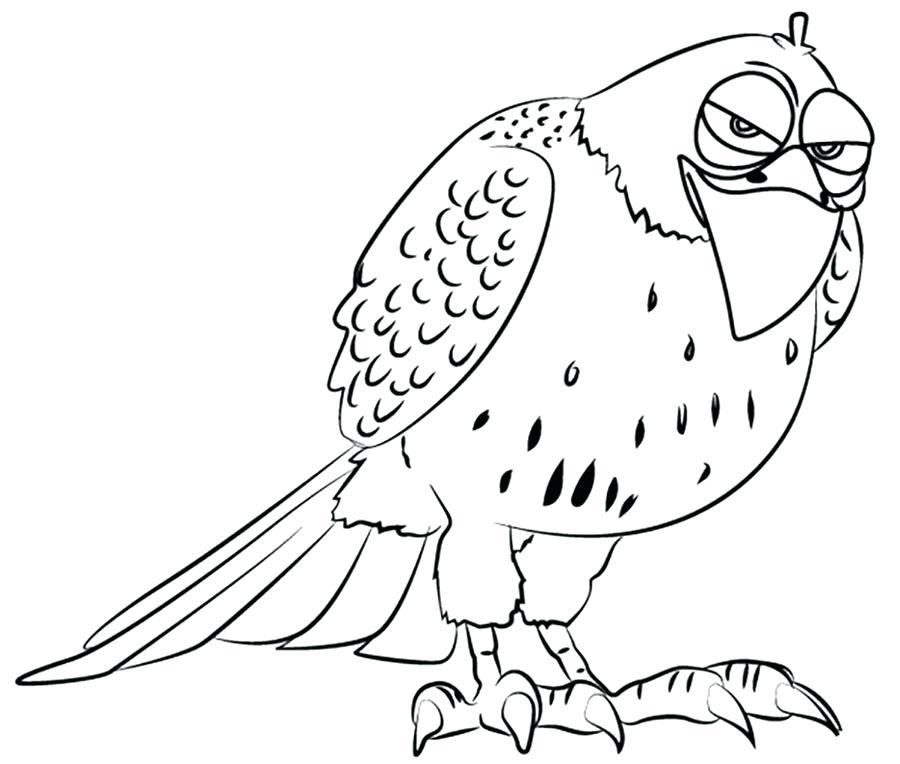 Red Tailed Hawk Coloring Page 900x764 Red Tailed Hawk Coloring Page