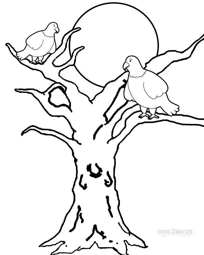 Printable Bald Eagle Coloring Pages For Kids Cool2bkids 680x850 Printable Bald Eagle Coloring Pages For Kids Cool2bkids