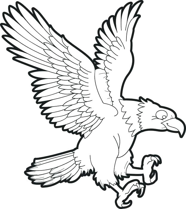 Bald Eagle Coloring Pages Eagle Colouring In Bald Eagle Coloring 622x700 Bald Eagle Coloring Pages Eagle Colouring In Bald Eagle Coloring