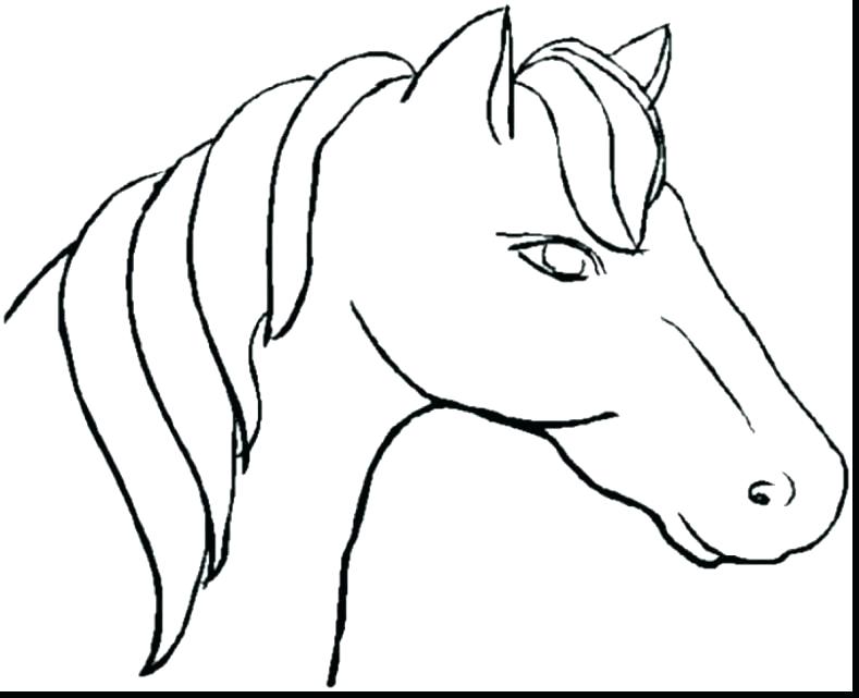 Cow Template Animal Templates Free Premium Templates Cow Head 789x641 Cow Template Animal Templates Free Premium Templates Cow Head