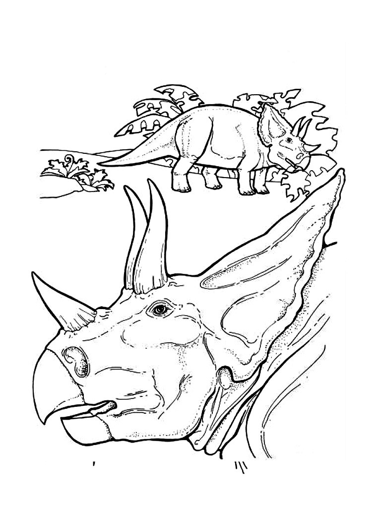 Dinosaur Coloring Pages 768x1024 Dinosaur Coloring Pages