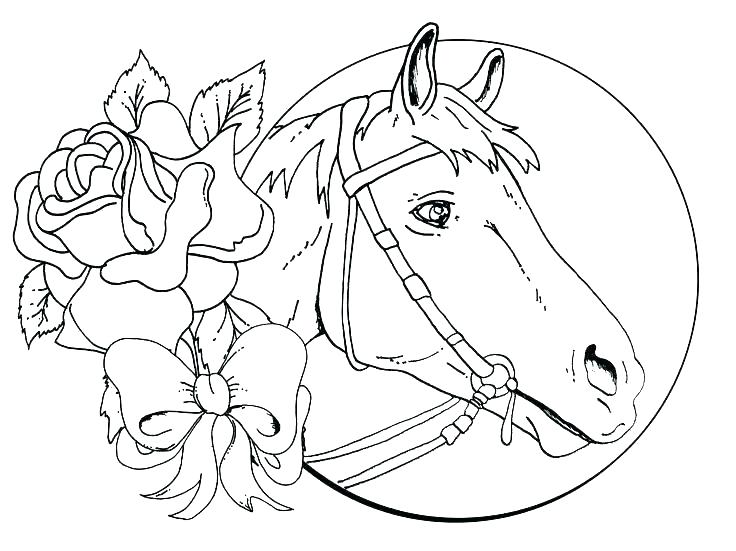 736x551 Horse Racing Coloring Pages Coloring Horse Coloring Pages