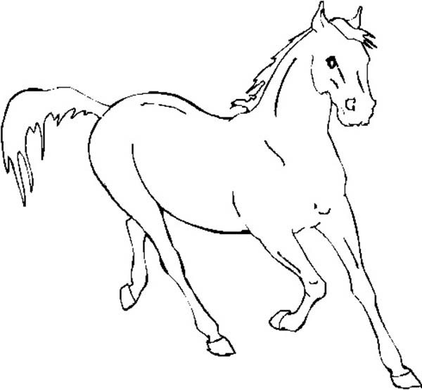 600x555 Horse Running Fast In Horses Coloring Page