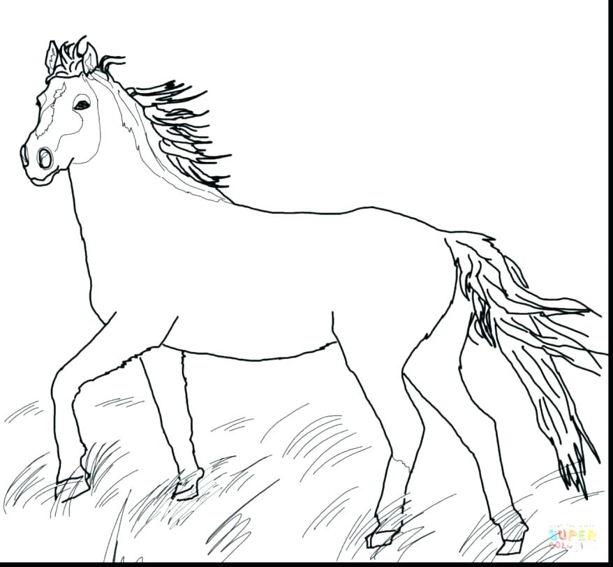 878x812 Realistic Horse Coloring Pages Coloring Horse Pages Coloring Great