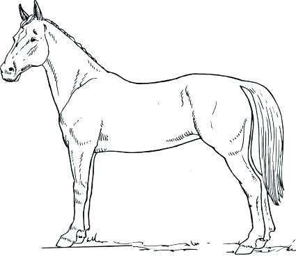 425x368 Coloring Page Of Horse Horse Coloring Pages Coloring Page Horse