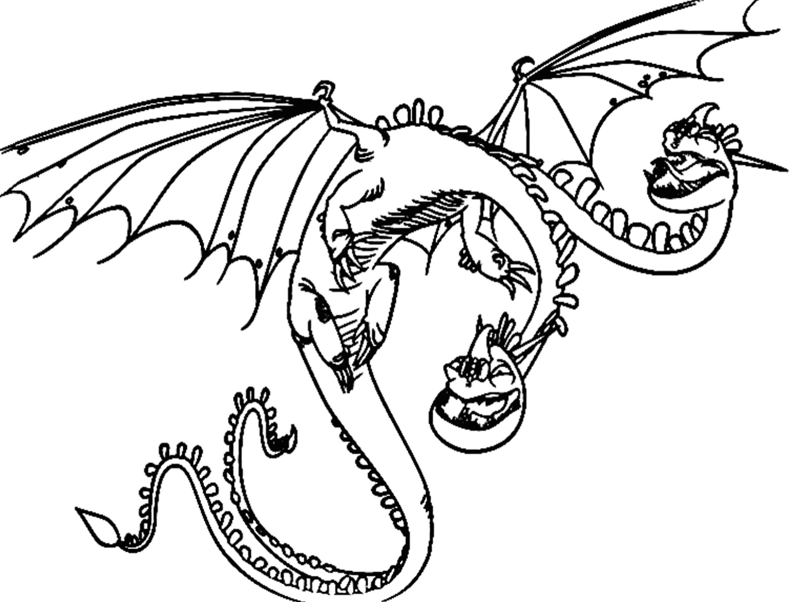 1597x1185 How To Train Your Dragon Coloring Pages Zippleback