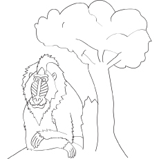 Top 25 Free Printable Monkey Coloring Pages For Kids 230x230 Top 25 Free Printable Monkey Coloring Pages For Kids