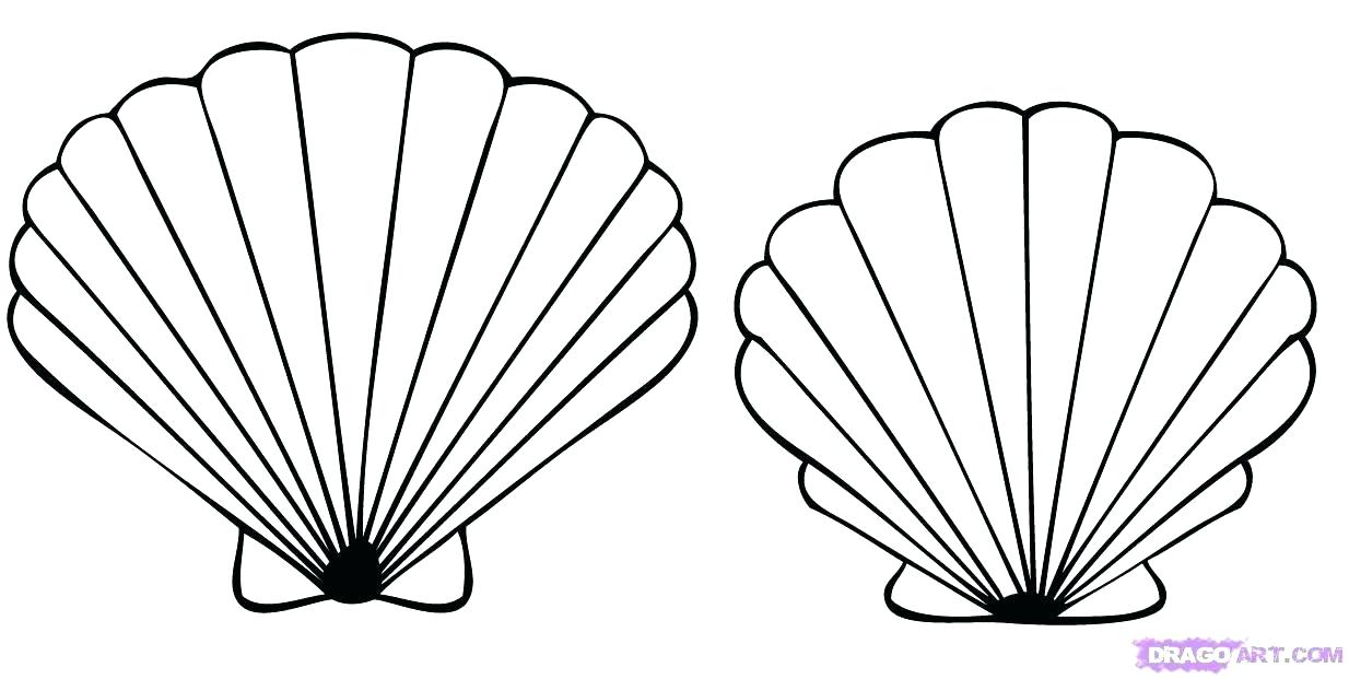 Seashell Coloring Page Sea Shells Coloring Pages Info Amazing 1234x621 Seashell Coloring Page Sea Shells Coloring Pages Info Amazing