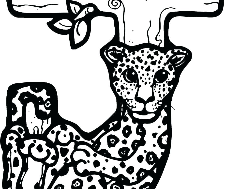 Jaguar Coloring Page Impair.co 915x768 Jaguar Coloring Page Impair.co