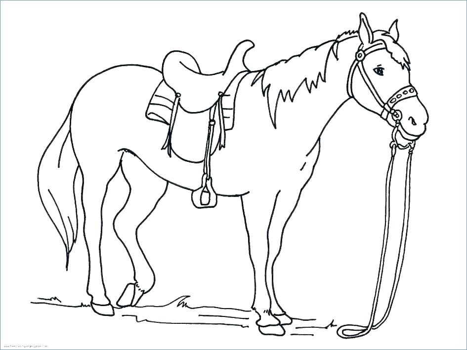 Colouring Pages Horses Jumping Princess With Horse Coloring Page 945x709 Colouring Pages Horses Jumping Princess With Horse Coloring Page