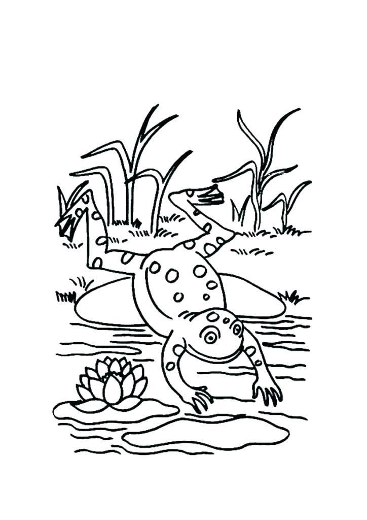 Frogs Coloring Pages Pictures Of Frogs To Color Leap Frog Coloring 724x1024 Frogs Coloring Pages Pictures Of Frogs To Color Leap Frog Coloring