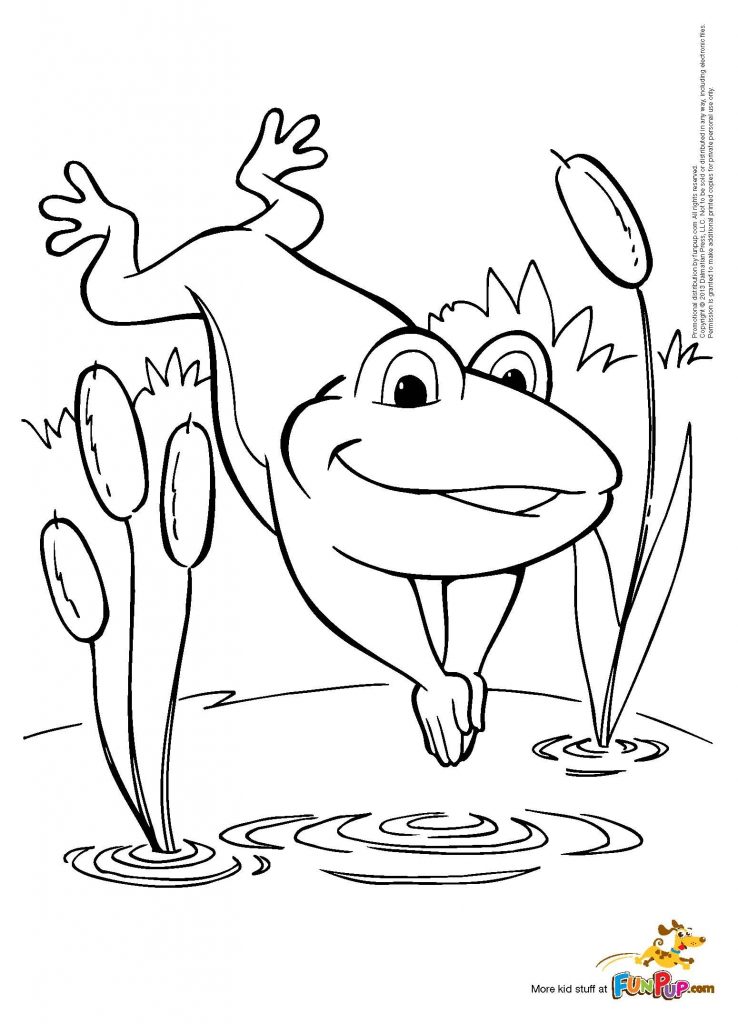 Jumping Frog Coloring Page 738x1024 Jumping Frog Coloring Page