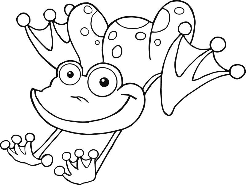 Jumping Frog Coloring Page Jumping Frog Coloring Pages Color 800x602 Jumping Frog Coloring Page Jumping Frog Coloring Pages Color
