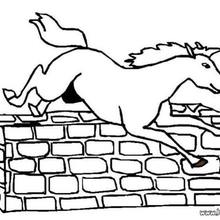 Jumping Horse Coloring Pages 220x220 Jumping Horse Coloring Pages