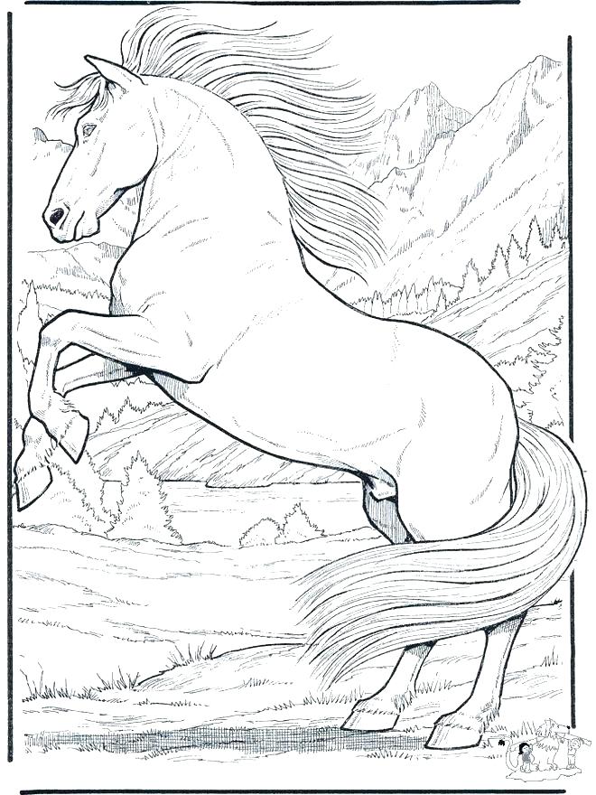 Horse Jumping Coloring Pages 660x880 Horse Jumping Coloring Pages