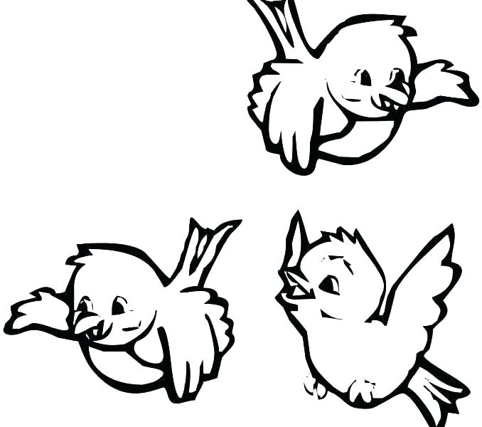 678x600 Love Bird Coloring Pages Love Birds Coloring Pages