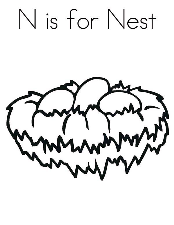 N Is For Bird Nest Coloring Pages Best Place To Color 600x776 N Is For Bird Nest Coloring Pages Best Place To Color