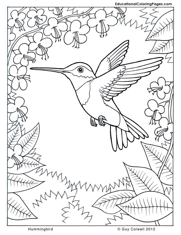 612x792 Majestic Looking Coloring Pages Nature Page Scenes For Kids