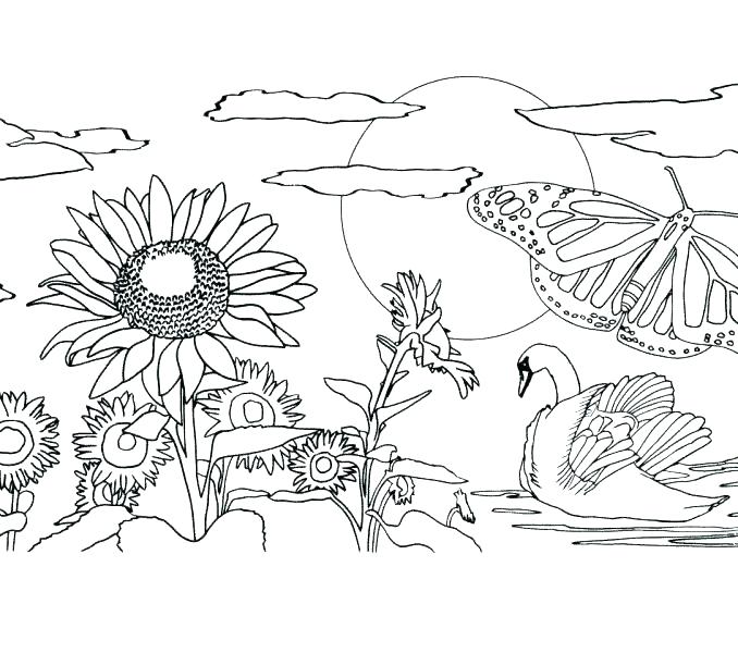 678x600 Printable Coloring Pages Nature Scenes Mandala Awesome Of About