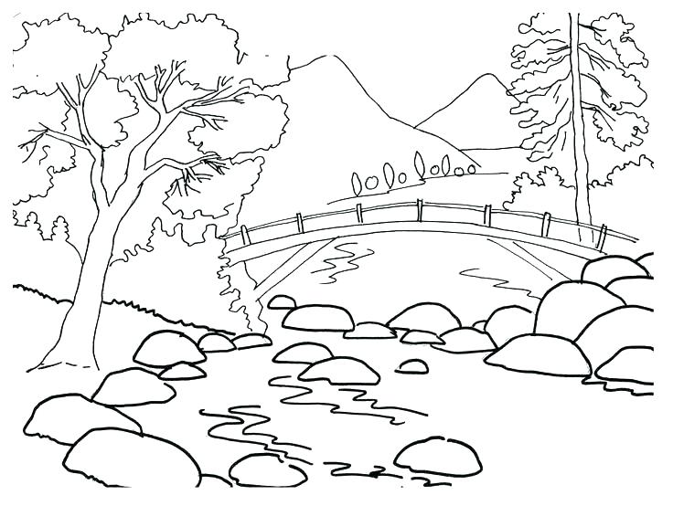 736x554 Coloring Pages Of Nature Impair.co
