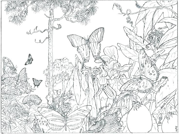 736x559 Coloring Pages Nature Coloring Pages Nature Coloring Pages
