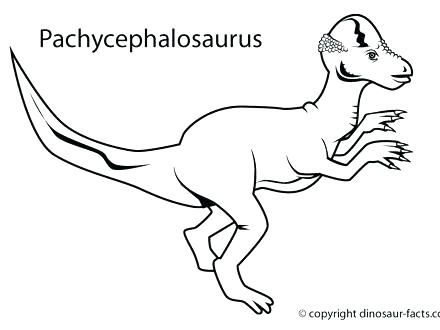 Newt Coloring Page Night Fury Pages The Friendly Ghost Flying 440x330 Newt Coloring Page Night Fury Pages The Friendly Ghost Flying