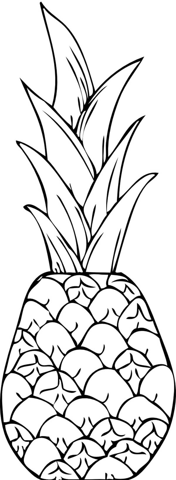 Best Of Tropical Fruit Coloring Pages Collection Printable 600x1632 Best Of Tropical Fruit Coloring Pages Collection Printable