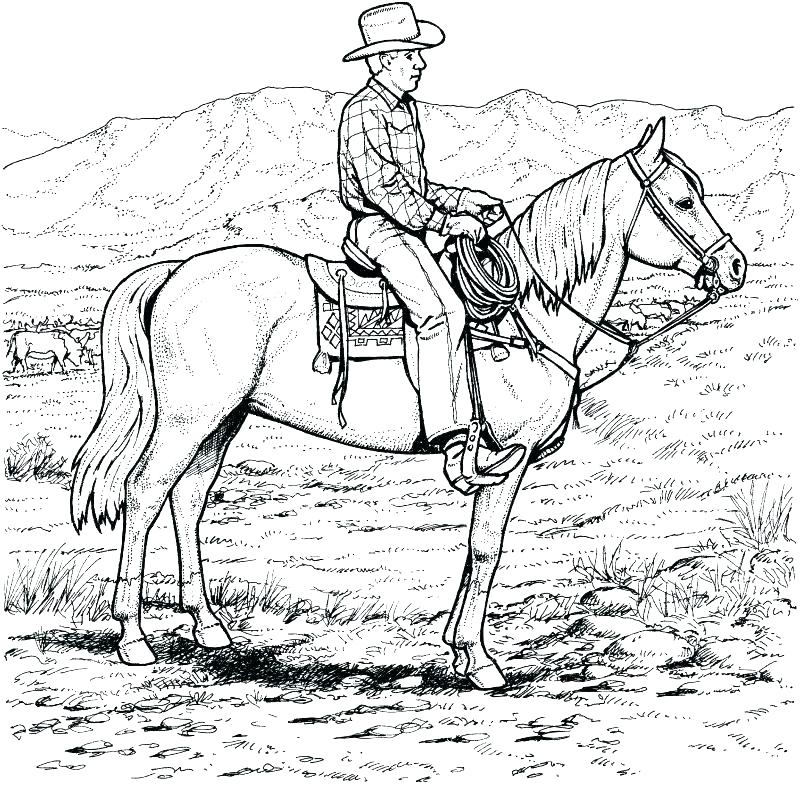 800x788 Horse Coloring Book Pictures Kids Coloring Western Coloring Pages