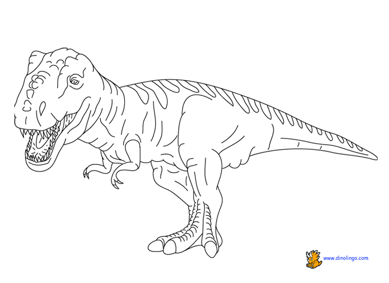 Dinosaur Coloring Page Free Dinosaur Coloring Pages Pictures 792x576 Dinosaur Coloring Page Free Dinosaur Coloring Pages Pictures