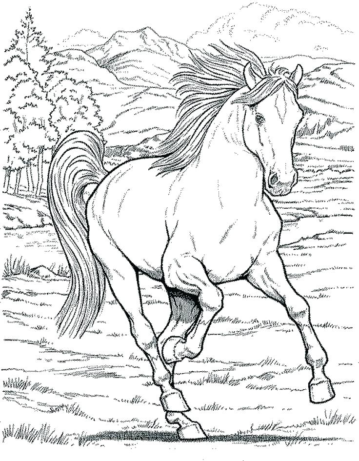 736x945 Horse Head Coloring Pages Printable Kids Coloring Coloring Page