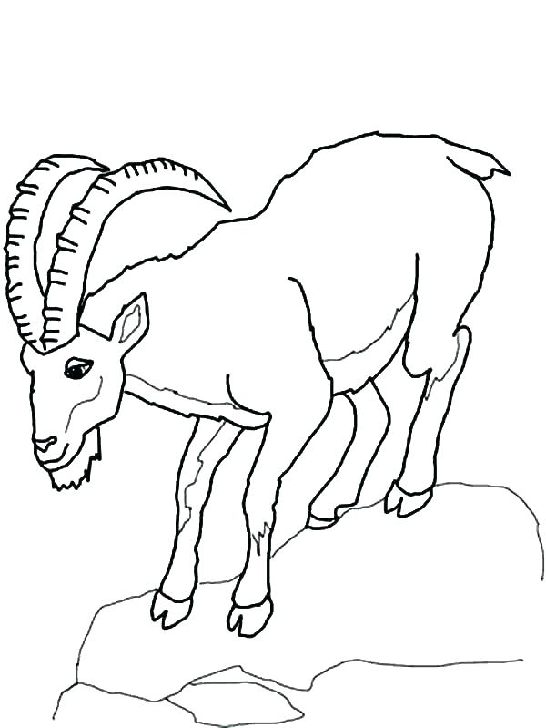 Mountain Coloring Page Coloring Pages Mountains Goat Coloring 600x799 Mountain Coloring Page Coloring Pages Mountains Goat Coloring