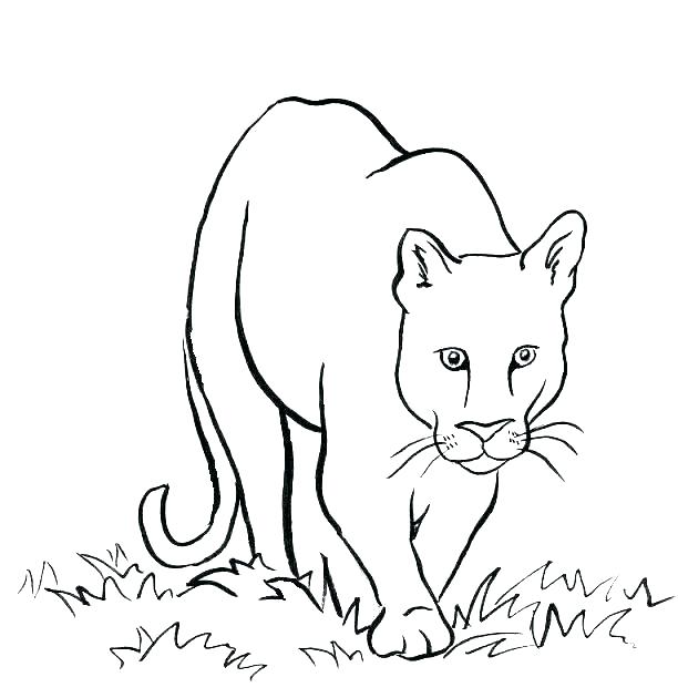 Mountains Coloring Page Coloring Pages Mountains Coloring Pages 612x630 Mountains Coloring Page Coloring Pages Mountains Coloring Pages