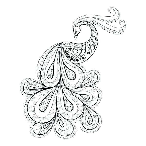 600x600 Peacock Pictures For Colouring Peacock Coloring Pages Peacock