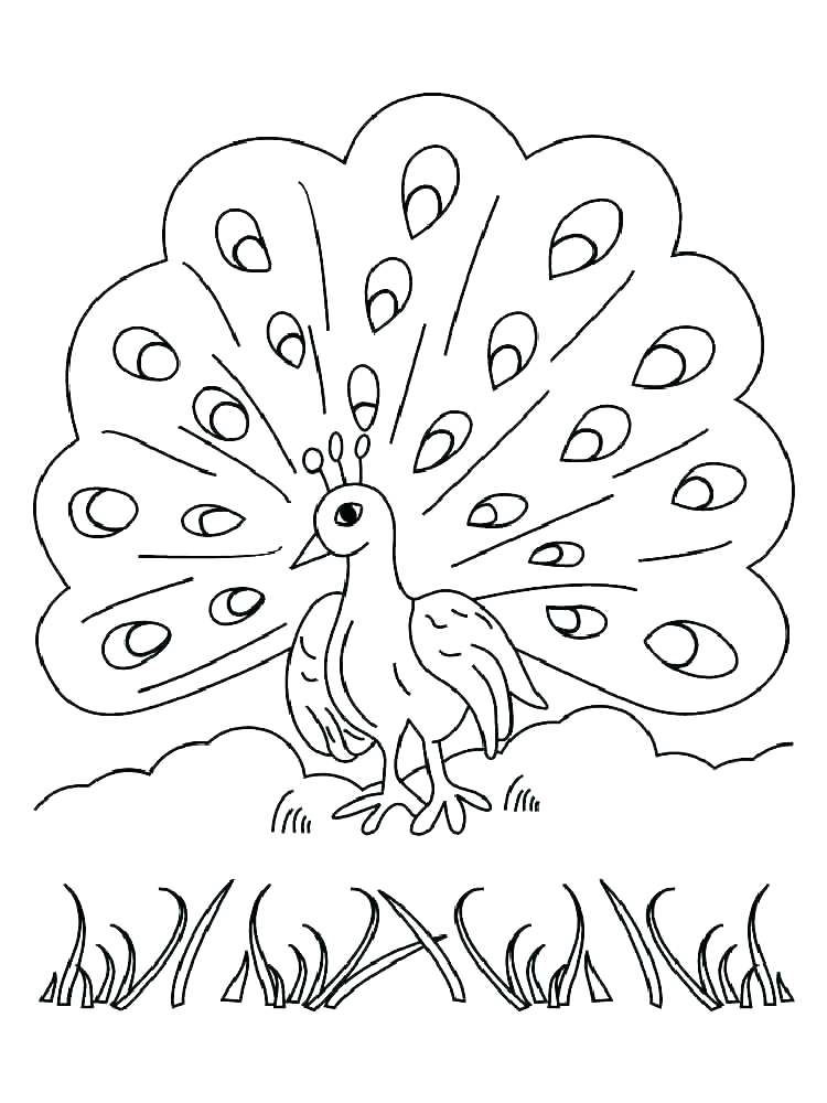 750x1000 Coloring Pages Of Peacocks